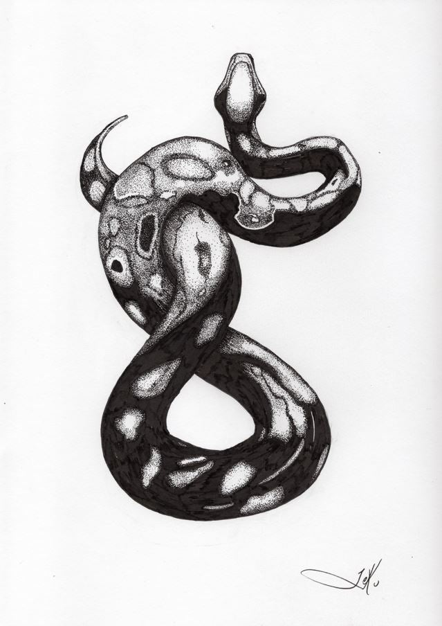 Constrictor (Original)