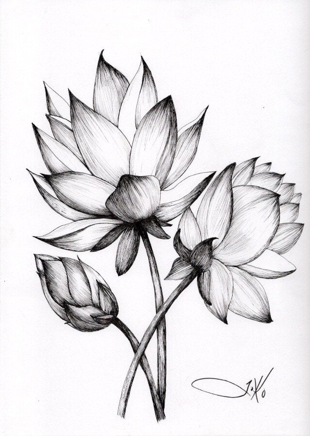 Bloom 6 (Original)