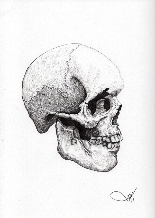 Skull - Side Profile 2 (Original)