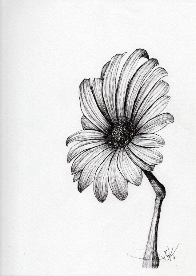 Bloom 5 (Original)
