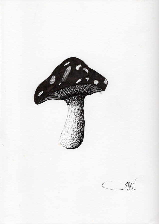 Shroom (Original)