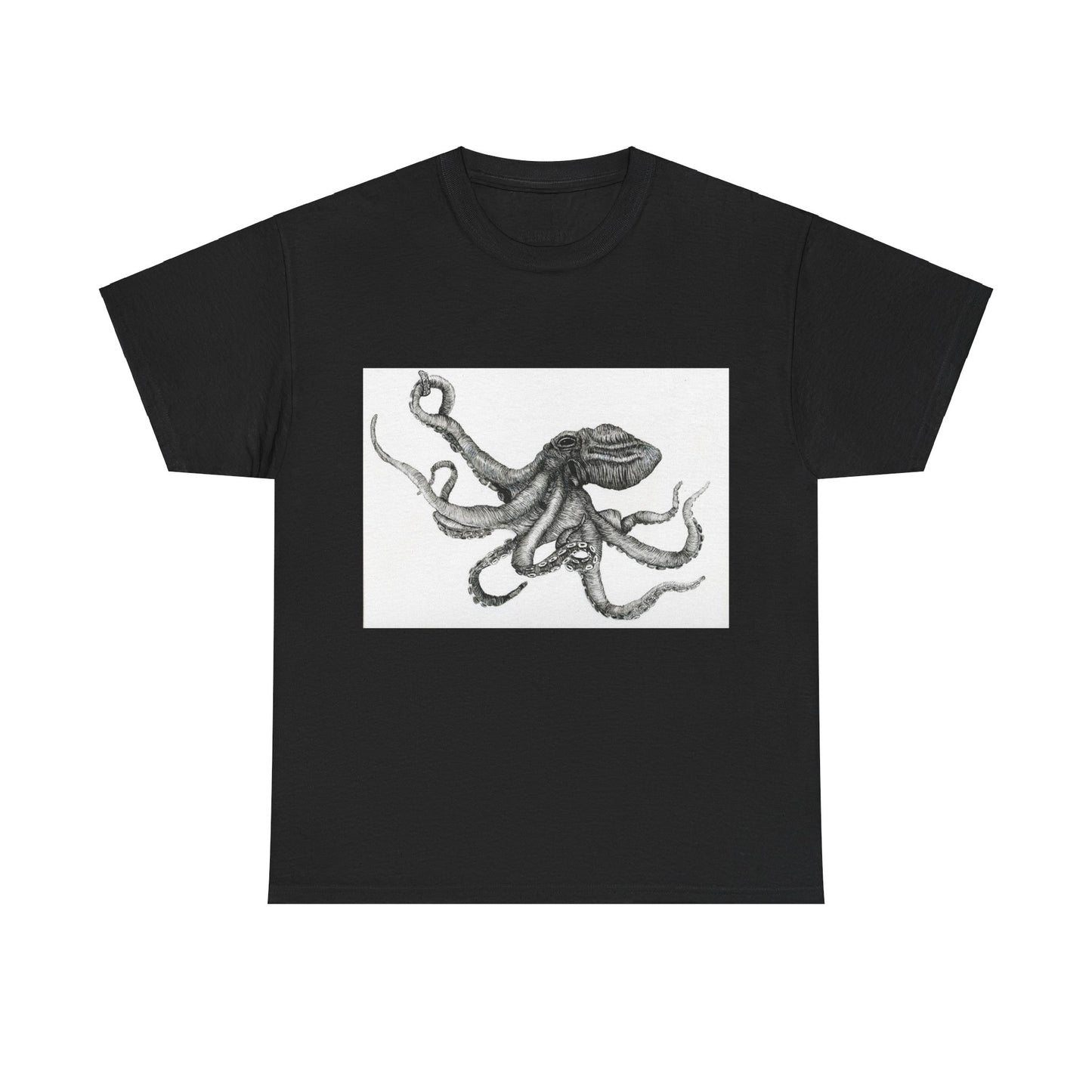 Octopus