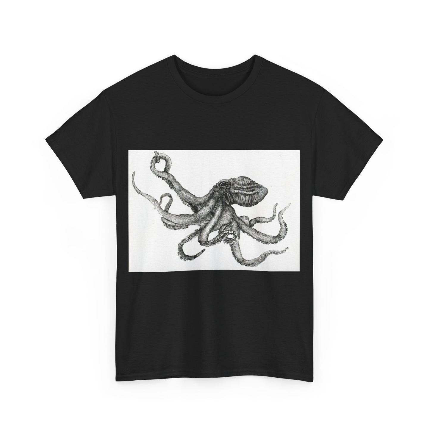 Octopus