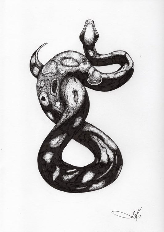 Constrictor (Original)