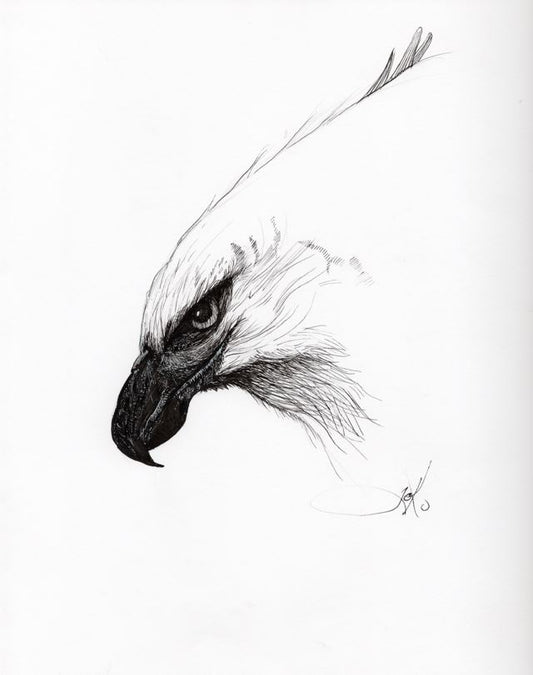 Eagle (Original)