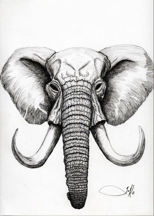 Elephant 3