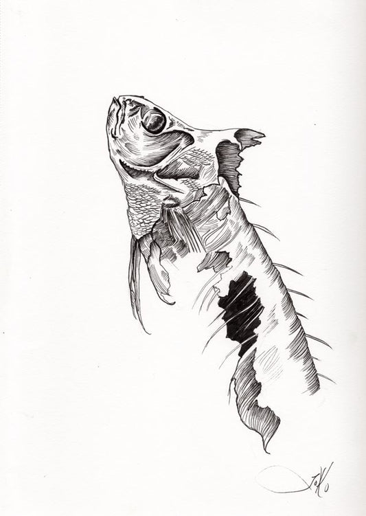 Fish (Original)