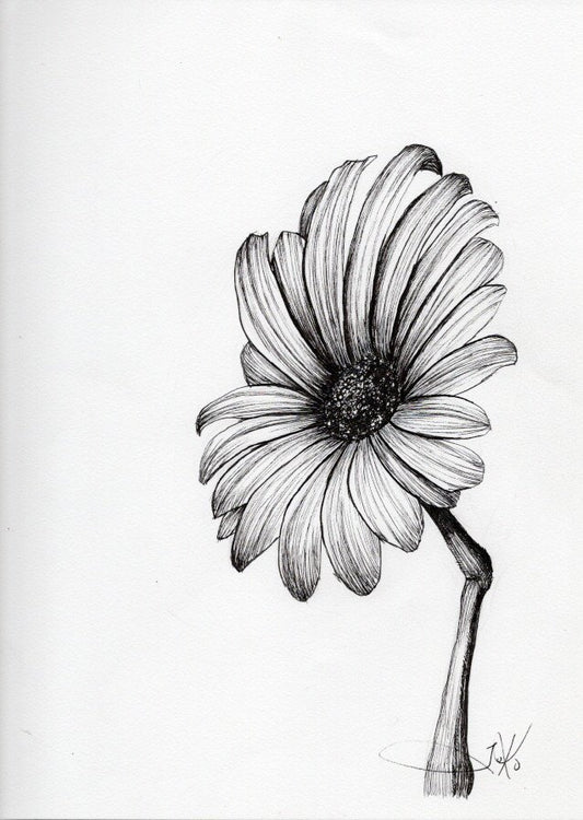 Bloom 5 (Original)