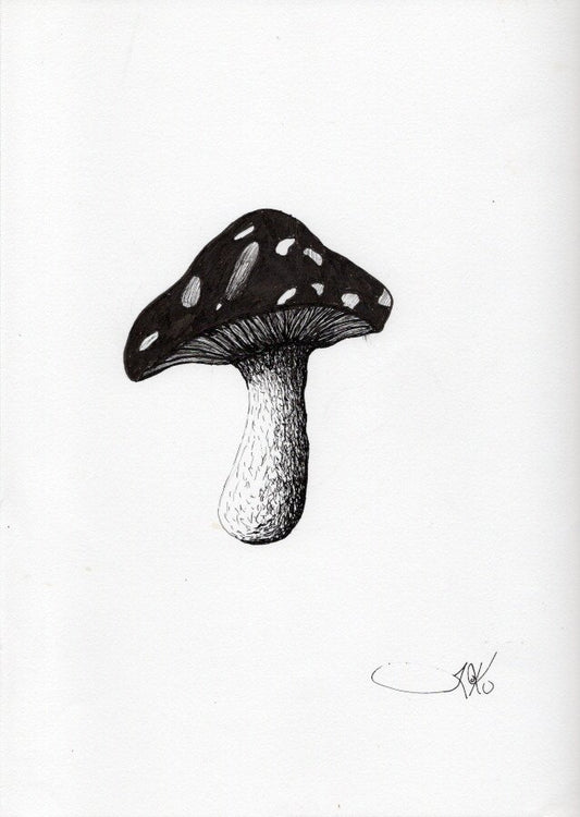 Shroom (Original)