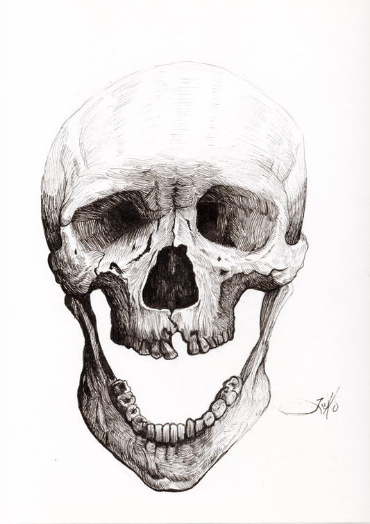 Full Skull