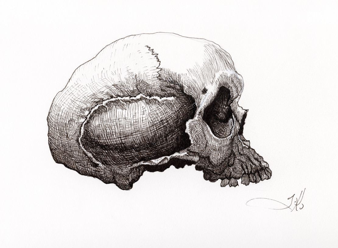 Cross Hatched Skull