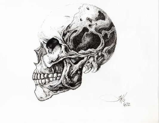 Stippled Skull